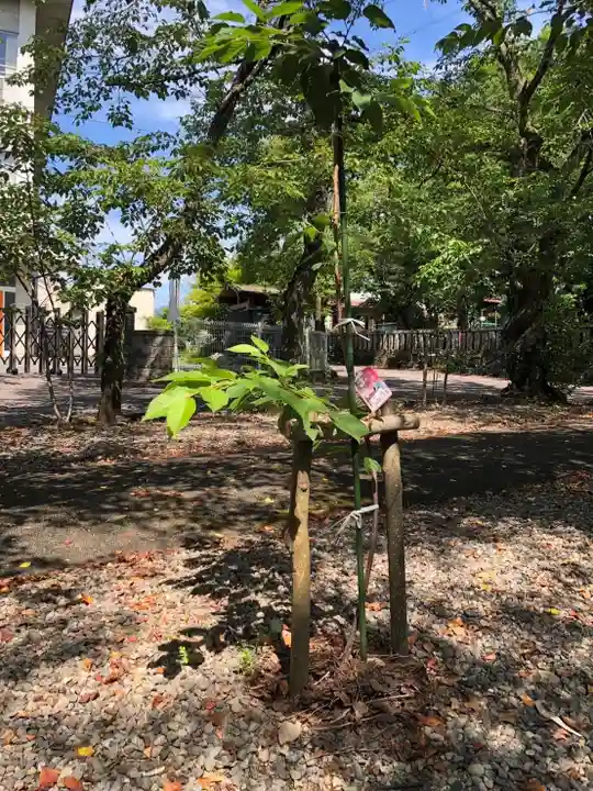 天鷹神社(岐阜県)