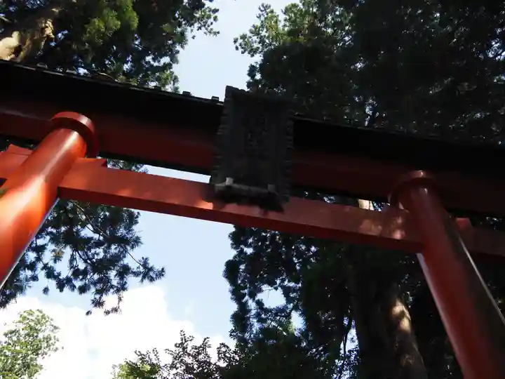 出羽神社(出羽三山神社)~三神合祭殿~の鳥居
