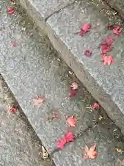 有子山稲荷神社(兵庫県)