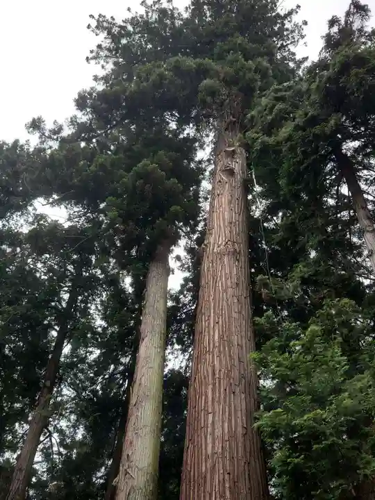 磯山神社(栃木県)