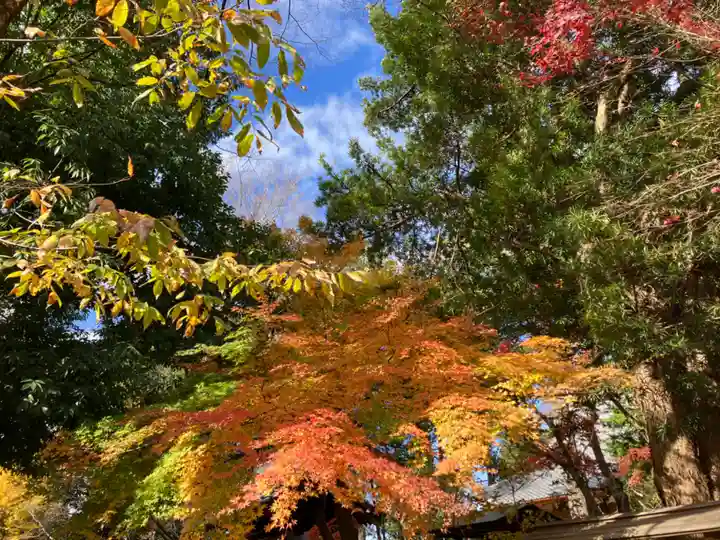 豪徳寺(東京都)