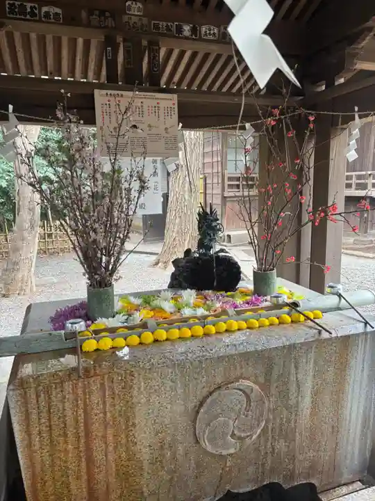世田谷八幡宮(東京都)