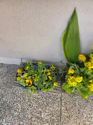 蓮馨寺の{uncategorized: "未分類", other: "その他", undefined: "問題あり", building: "その他建物", grave: "お墓", sacred_gate: "鳥居", guardian: "狛犬", statue: "像", buddha: "仏像", history: "歴史", nature: "自然", garden: "庭園", animal: "動物", pagoda: "塔", temizu: "手水舎", mountain_gate: "山門・神門", sanctuary: "本殿・本堂", subordinate: "末社・摂社", art: "芸術", scenery: "景色", jizo: "地蔵", ema: "絵馬", goshuin: "御朱印", omikuji: "おみくじ", items: "授与品その他", amulet: "お守り", goshuincho: "御朱印帳", eats: "食事", festival: "お祭り", votive_dance: "神楽", shichigosan: "七五三参", wedding: "結婚式", experience: "体験その他", initially: "初詣", around: "周辺", anti_infection: "感染症対策"}