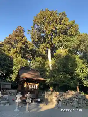 御上神社(滋賀県)