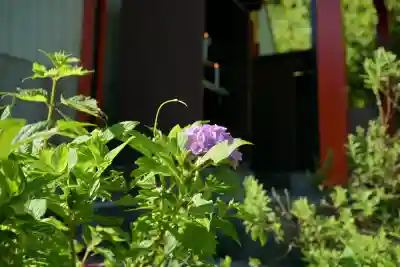 高龍神社　奥之院(新潟県)