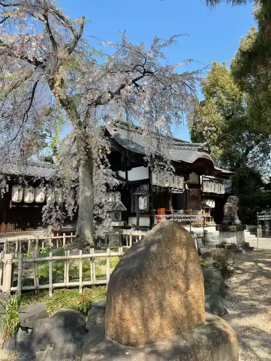 縣神社(京都府)