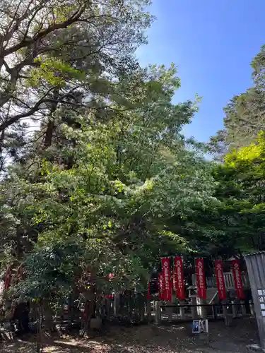 手力雄神社(岐阜県)