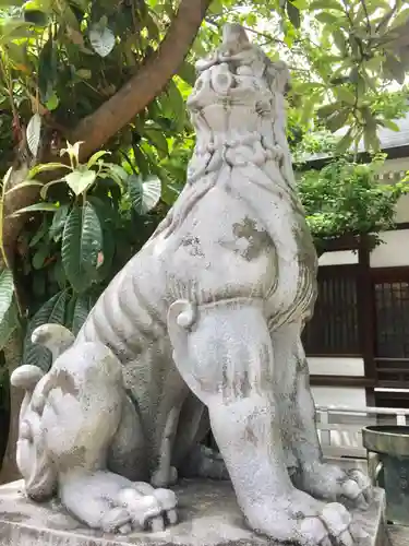 鳥越神社の狛犬