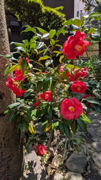 妙壽禅寺(妙寿寺)(大阪府)