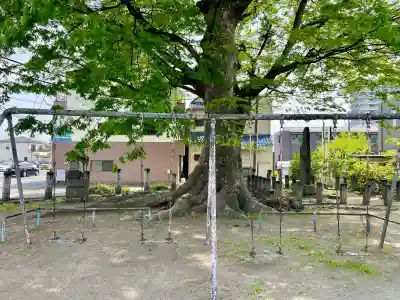 千形神社の{uncategorized: "未分類", other: "その他", undefined: "問題あり", building: "その他建物", grave: "お墓", sacred_gate: "鳥居", guardian: "狛犬", statue: "像", buddha: "仏像", history: "歴史", nature: "自然", garden: "庭園", animal: "動物", pagoda: "塔", temizu: "手水舎", mountain_gate: "山門・神門", sanctuary: "本殿・本堂", subordinate: "末社・摂社", art: "芸術", scenery: "景色", jizo: "地蔵", ema: "絵馬", goshuin: "御朱印", omikuji: "おみくじ", items: "授与品その他", amulet: "お守り", goshuincho: "御朱印帳", eats: "食事", festival: "お祭り", votive_dance: "神楽", shichigosan: "七五三参", wedding: "結婚式", experience: "体験その他", initially: "初詣", around: "周辺", anti_infection: "感染症対策"}
