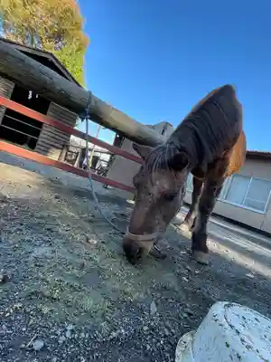 小室浅間神社(山梨県)