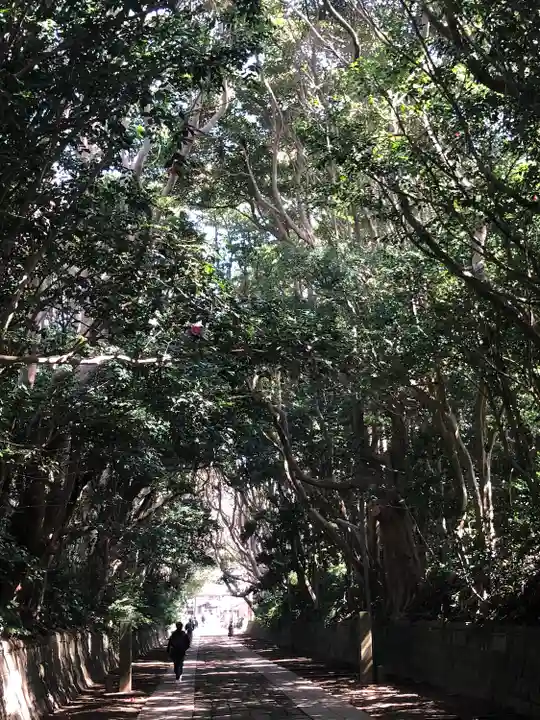 酒列磯前神社の自然