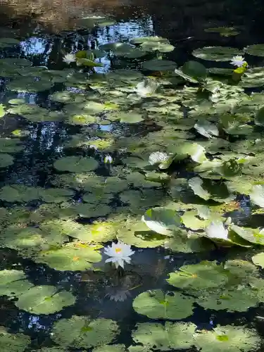 丹生都比売神社(和歌山県)