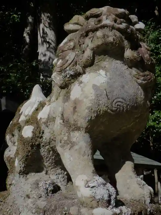 崇道神社の狛犬