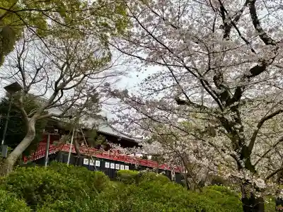 清水観音堂(東京都)