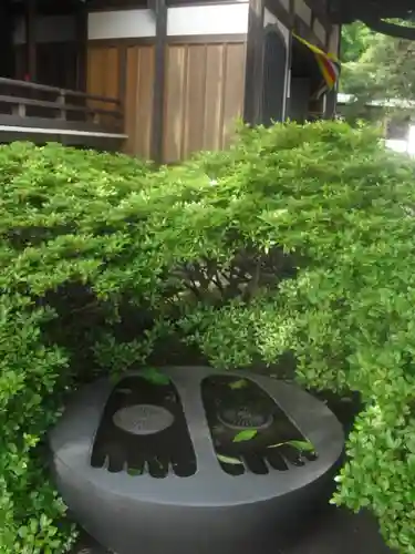 安養院　(田代寺）の庭園