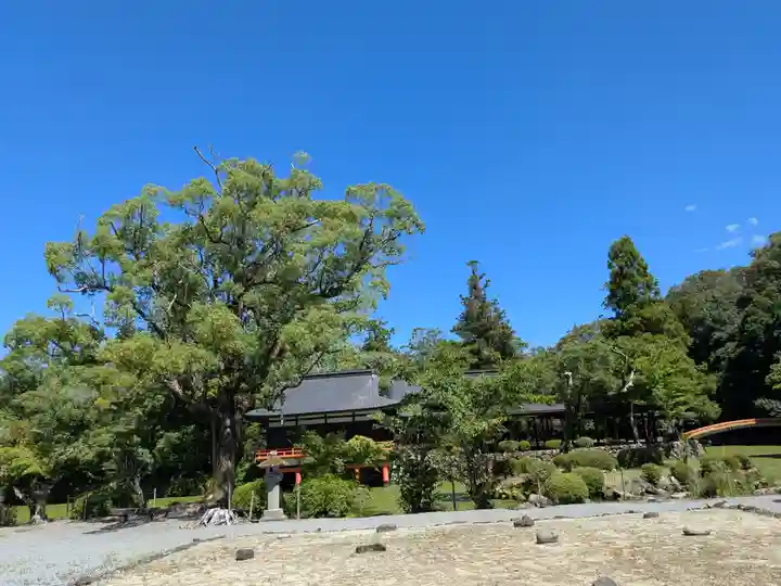 宇佐神宮(大分県)