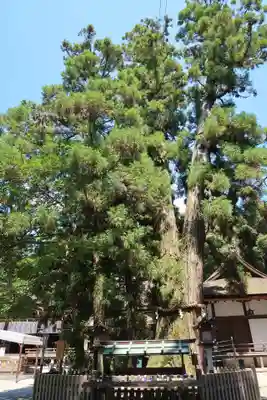 大神神社(奈良県)
