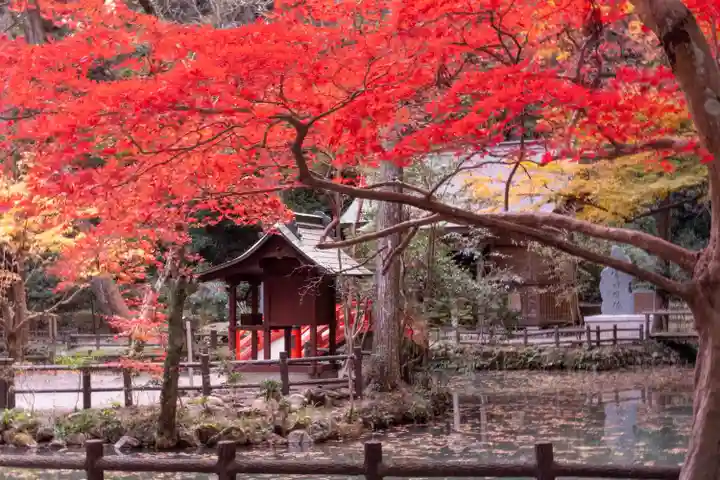 小國神社(静岡県)
