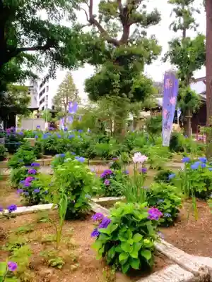 磐井神社(東京都)