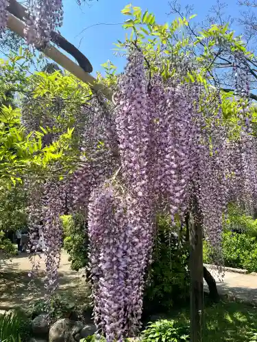 歌泉堂（春日大社神苑萬葉植物園内鎮座）(奈良県)