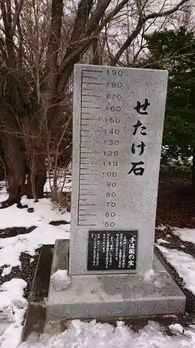 住吉神社の体験その他