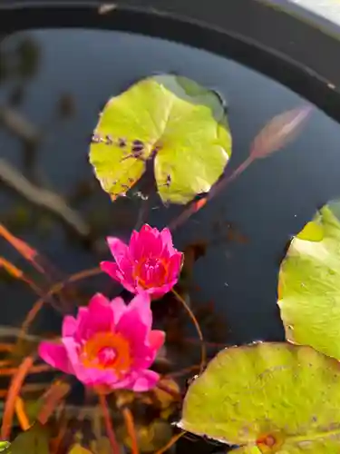 遍照寺(兵庫県)
