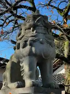 八心大市比古神社の狛犬