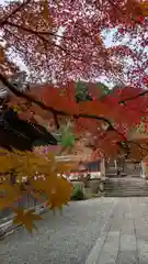 鍬山神社(京都府)