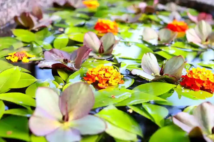 三津厳島神社の手水舎