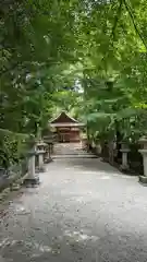 大田神社（賀茂別雷神社境外摂社）(京都府)