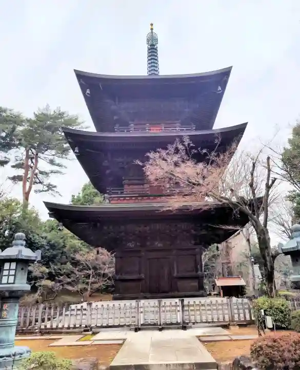 豪徳寺の{uncategorized: "未分類", other: "その他", undefined: "問題あり", building: "その他建物", grave: "お墓", sacred_gate: "鳥居", guardian: "狛犬", statue: "像", buddha: "仏像", history: "歴史", nature: "自然", garden: "庭園", animal: "動物", pagoda: "塔", temizu: "手水舎", mountain_gate: "山門・神門", sanctuary: "本殿・本堂", subordinate: "末社・摂社", art: "芸術", scenery: "景色", jizo: "地蔵", ema: "絵馬", goshuin: "御朱印", omikuji: "おみくじ", items: "授与品その他", amulet: "お守り", goshuincho: "御朱印帳", eats: "食事", festival: "お祭り", votive_dance: "神楽", shichigosan: "七五三参", wedding: "結婚式", experience: "体験その他", initially: "初詣", around: "周辺", anti_infection: "感染症対策"}