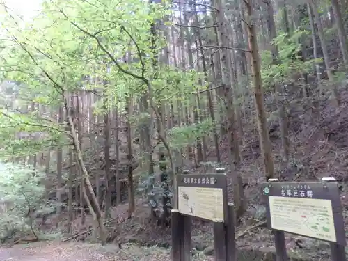 名草厳島神社の自然