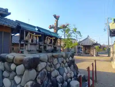 九所神社の{uncategorized: "未分類", other: "その他", undefined: "問題あり", building: "その他建物", grave: "お墓", sacred_gate: "鳥居", guardian: "狛犬", statue: "像", buddha: "仏像", history: "歴史", nature: "自然", garden: "庭園", animal: "動物", pagoda: "塔", temizu: "手水舎", mountain_gate: "山門・神門", sanctuary: "本殿・本堂", subordinate: "末社・摂社", art: "芸術", scenery: "景色", jizo: "地蔵", ema: "絵馬", goshuin: "御朱印", omikuji: "おみくじ", items: "授与品その他", amulet: "お守り", goshuincho: "御朱印帳", eats: "食事", festival: "お祭り", votive_dance: "神楽", shichigosan: "七五三参", wedding: "結婚式", experience: "体験その他", initially: "初詣", around: "周辺", anti_infection: "感染症対策"}