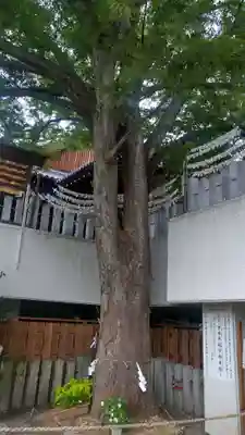 出雲大社美作分院の自然