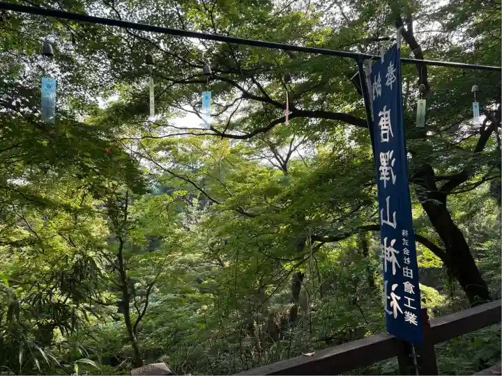 唐澤山神社(栃木県)