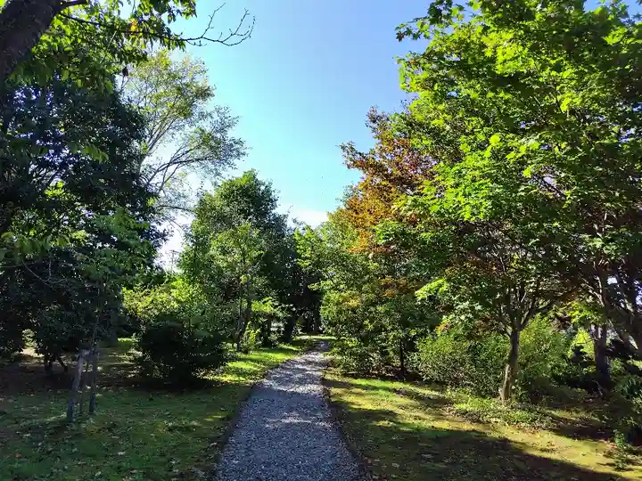 美瑛神社の庭園