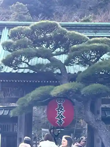 長谷寺(神奈川県)