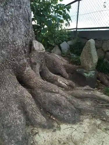 伊勢神社の自然