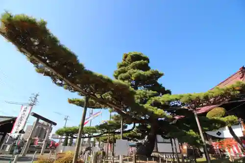 上田大神宮(長野県)