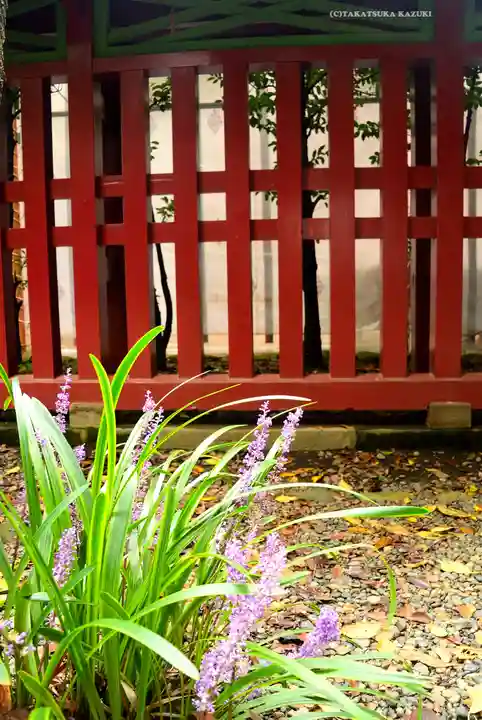大國魂神社(東京都)
