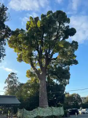 健軍神社(熊本県)