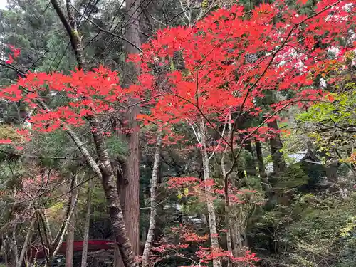 花園神社の自然