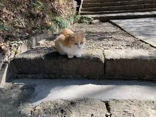 唐澤山神社(栃木県)