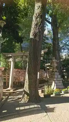 高円寺氷川神社のその他建物