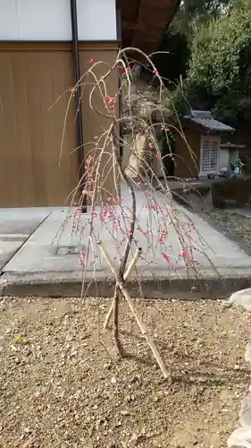 畑峯六地蔵尊（こんにゃく地蔵）の庭園