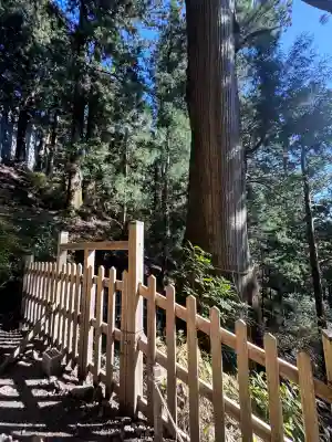 玉置神社(奈良県)