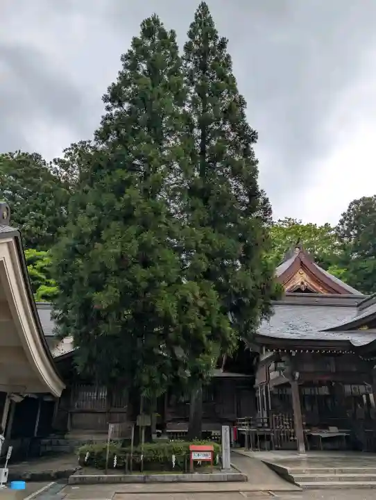白山比咩神社の{uncategorized: "未分類", other: "その他", undefined: "問題あり", building: "その他建物", grave: "お墓", sacred_gate: "鳥居", guardian: "狛犬", statue: "像", buddha: "仏像", history: "歴史", nature: "自然", garden: "庭園", animal: "動物", pagoda: "塔", temizu: "手水舎", mountain_gate: "山門・神門", sanctuary: "本殿・本堂", subordinate: "末社・摂社", art: "芸術", scenery: "景色", jizo: "地蔵", ema: "絵馬", goshuin: "御朱印", omikuji: "おみくじ", items: "授与品その他", amulet: "お守り", goshuincho: "御朱印帳", eats: "食事", festival: "お祭り", votive_dance: "神楽", shichigosan: "七五三参", wedding: "結婚式", experience: "体験その他", initially: "初詣", around: "周辺", anti_infection: "感染症対策"}