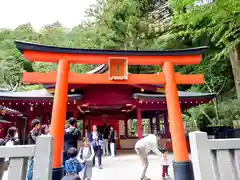 箱根神社(神奈川県)