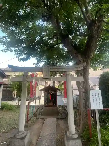 白幡神社の{uncategorized: "未分類", other: "その他", undefined: "問題あり", building: "その他建物", grave: "お墓", sacred_gate: "鳥居", guardian: "狛犬", statue: "像", buddha: "仏像", history: "歴史", nature: "自然", garden: "庭園", animal: "動物", pagoda: "塔", temizu: "手水舎", mountain_gate: "山門・神門", sanctuary: "本殿・本堂", subordinate: "末社・摂社", art: "芸術", scenery: "景色", jizo: "地蔵", ema: "絵馬", goshuin: "御朱印", omikuji: "おみくじ", items: "授与品その他", amulet: "お守り", goshuincho: "御朱印帳", eats: "食事", festival: "お祭り", votive_dance: "神楽", shichigosan: "七五三参", wedding: "結婚式", experience: "体験その他", initially: "初詣", around: "周辺", anti_infection: "感染症対策"}